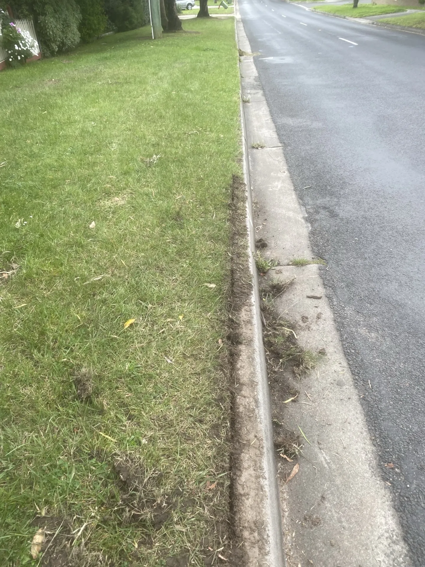 Neatly defined lawn edge after edging