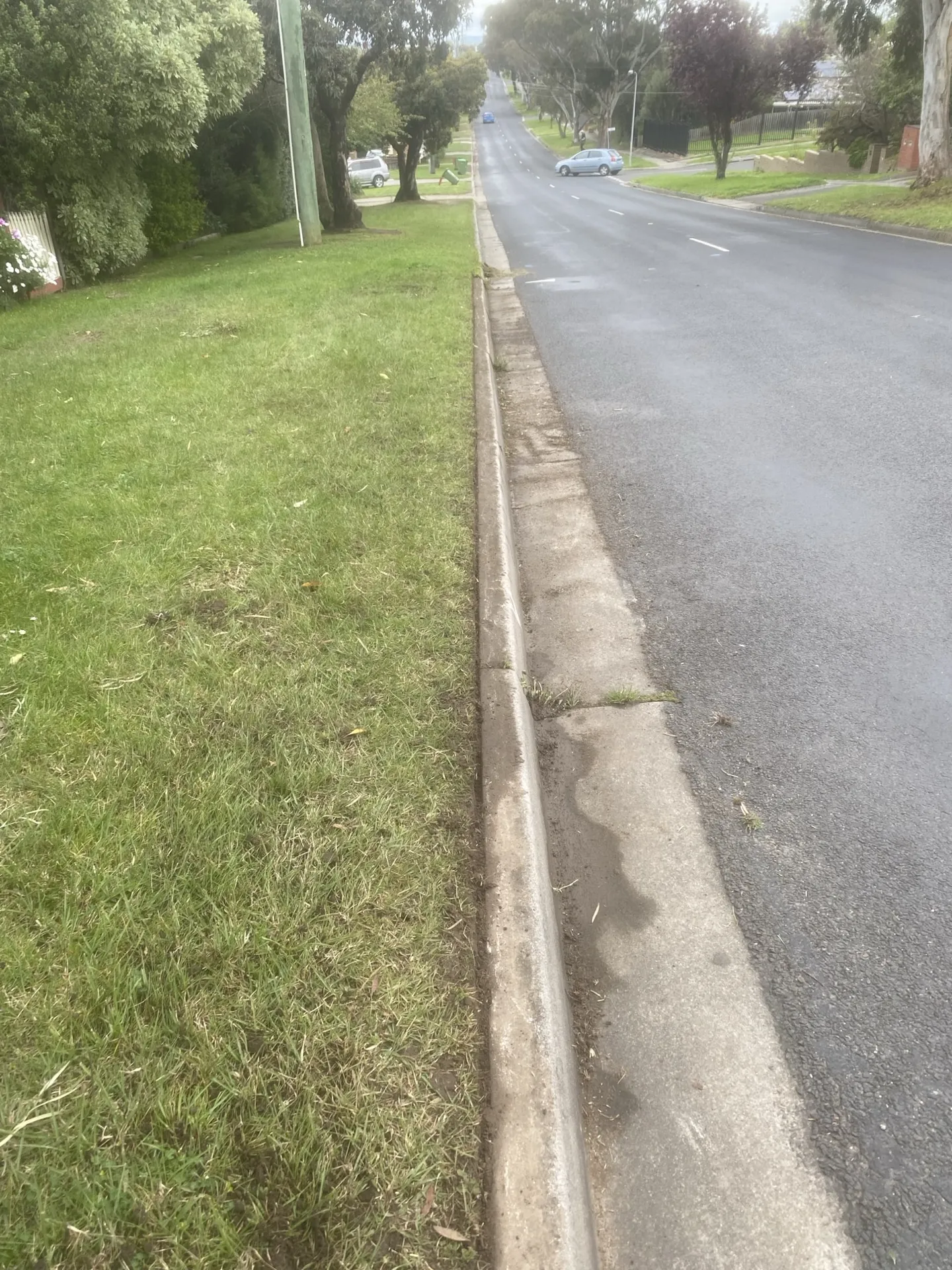 Overgrown lawn edge before edging