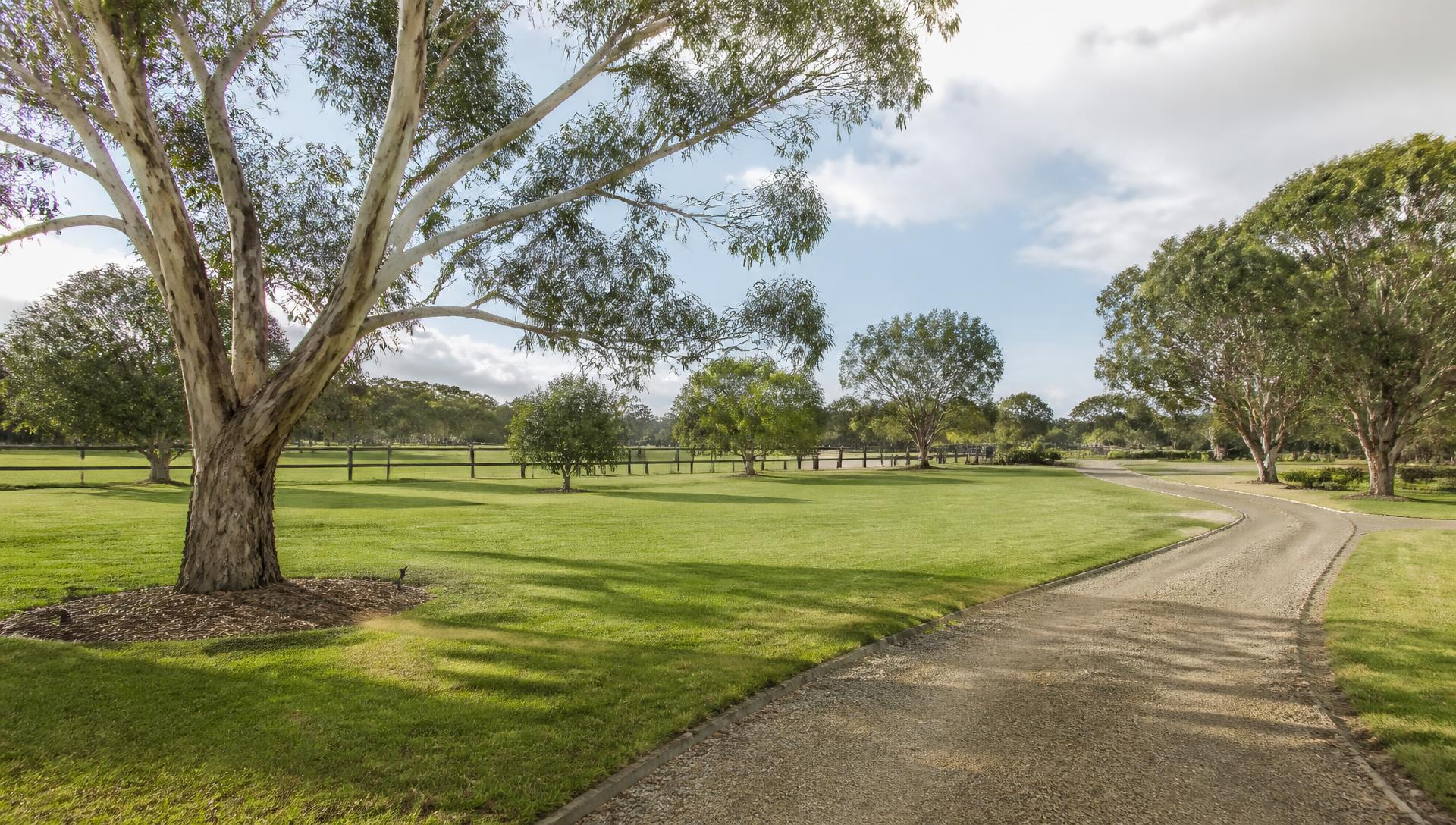 Large semi-rural Cardinia property with mown open lawn, gum trees and a gravel drive