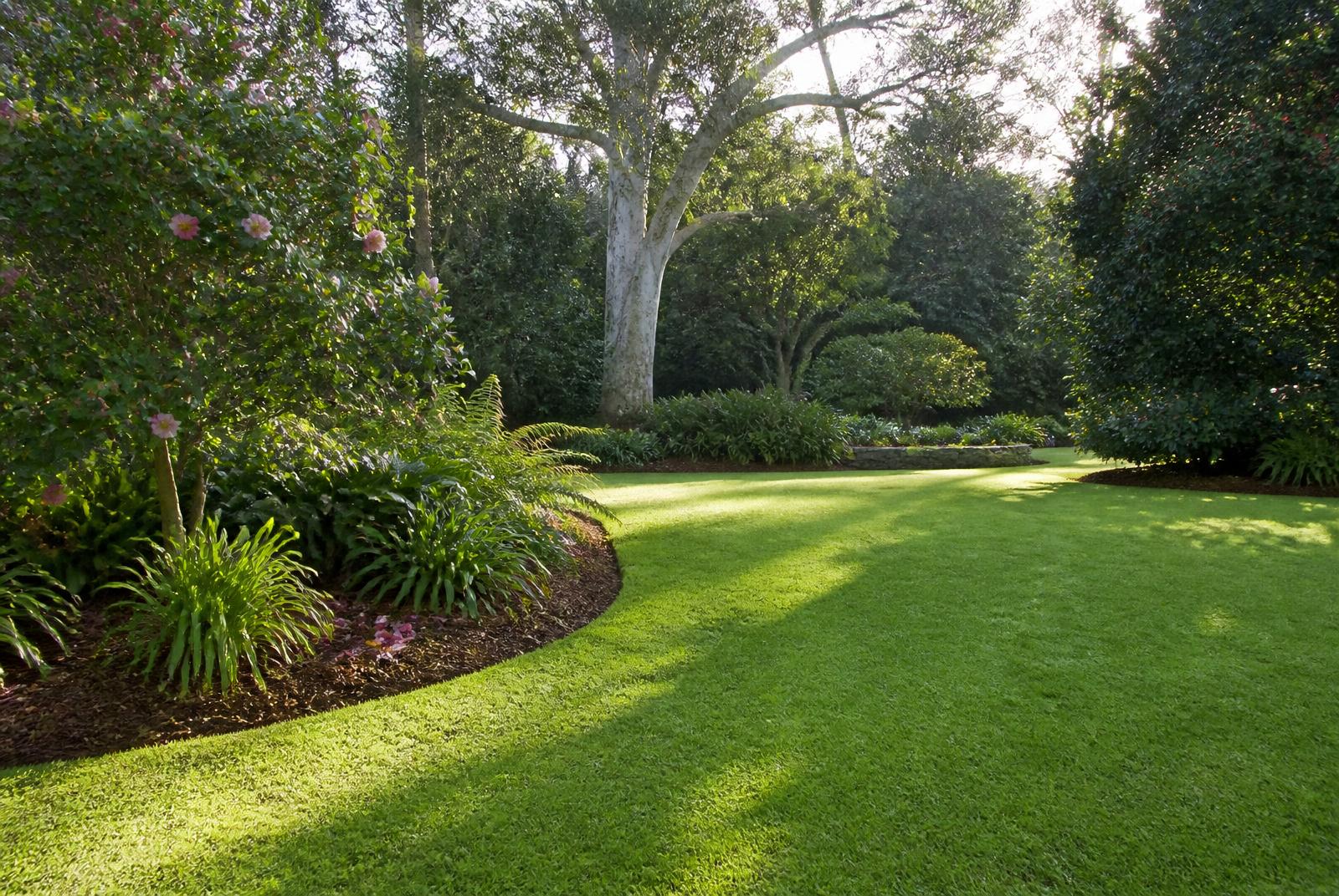 Established Warragul garden with a maintained lawn and defined garden edges